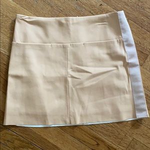 Zara Leather Skirt